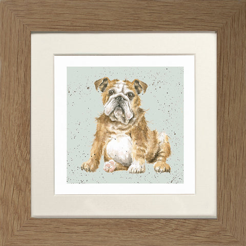 Wrendale - Framed Greeting Cards - A Dog's Life - Collection 1