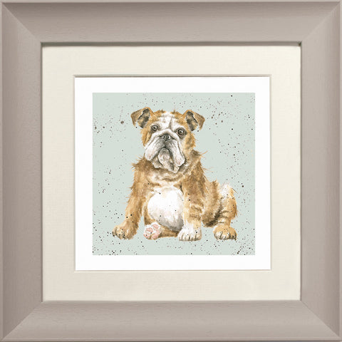 Wrendale - Framed Greeting Cards - A Dog's Life - Collection 1