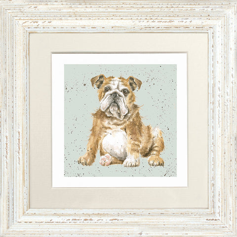 Wrendale - Framed Greeting Cards - A Dog's Life - Collection 1