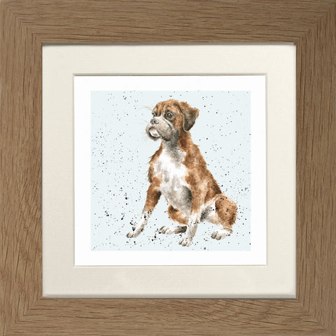 Wrendale - Framed Greeting Cards - A Dog's Life - Collection 1