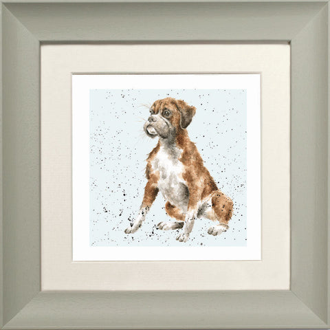 Wrendale - Framed Greeting Cards - A Dog's Life - Collection 1