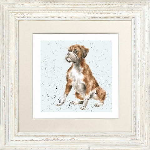 Wrendale - Framed Greeting Cards - A Dog's Life - Collection 1