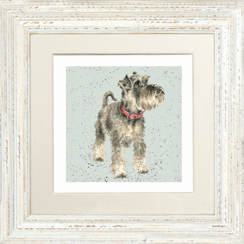 Wrendale - Framed Greeting Cards - A Dog's Life - Collection 1