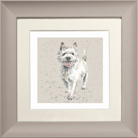 Wrendale - Framed Greeting Cards - A Dog's Life - Collection 1