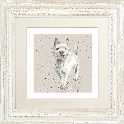 Wrendale - Framed Greeting Cards - A Dog's Life - Collection 1