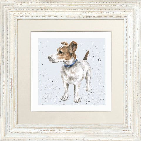 Wrendale - Framed Greeting Cards - A Dog's Life - Collection 2