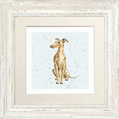 Wrendale - Framed Greeting Cards - A Dog's Life - Collection 2