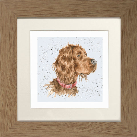 Wrendale - Framed Greeting Cards - A Dog's Life - Collection 3