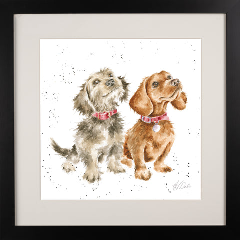 Wrendale - Framed Collectors' Prints - Collection 6
