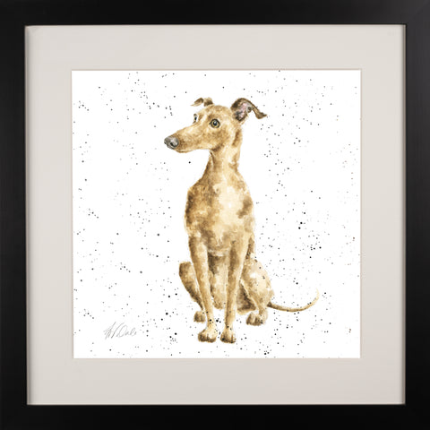 Wrendale - A Dog's Life - Framed Collectors' Prints - Collection 2