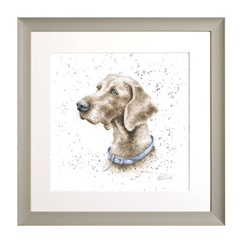 Wrendale - A Dog's Life - Framed Collectors' Prints - Collection 3