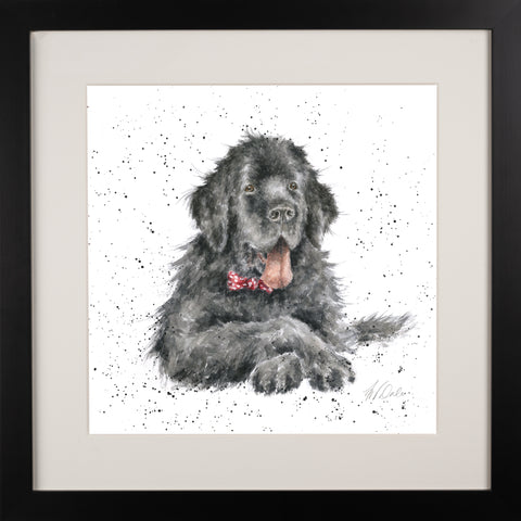 Wrendale - A Dog's Life - Framed Collectors' Prints - Collection 3