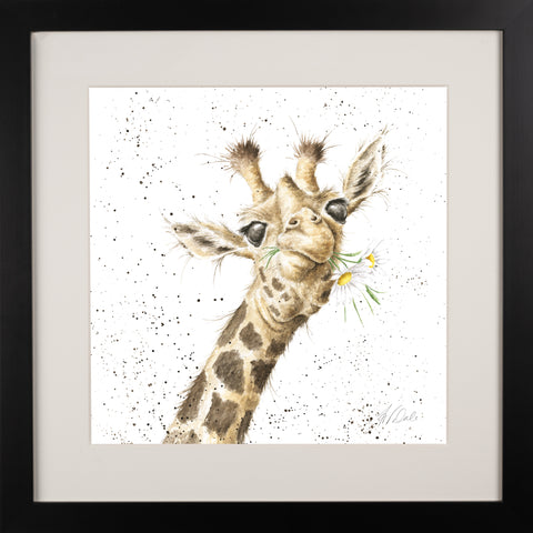 Wrendale - Framed Collectors' Prints - Collection 9