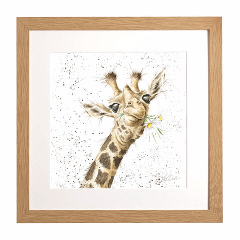 Wrendale - Framed Collectors' Prints - Collection 9
