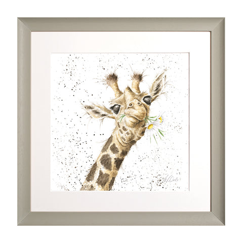 Wrendale - Framed Collectors' Prints - Collection 9