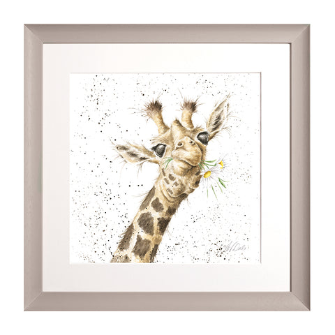 Wrendale - Framed Collectors' Prints - Collection 9