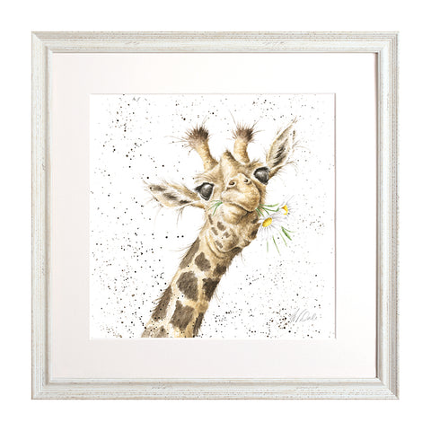 Wrendale - Framed Collectors' Prints - Collection 9
