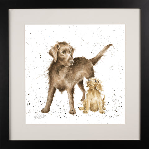 Wrendale - Framed Collectors' Prints - Collection 9