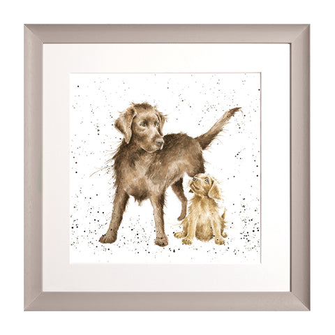 Wrendale - Framed Collectors' Prints - Collection 9