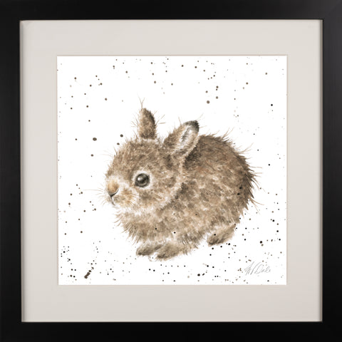 Wrendale - Framed Collectors' Prints - Collection 9