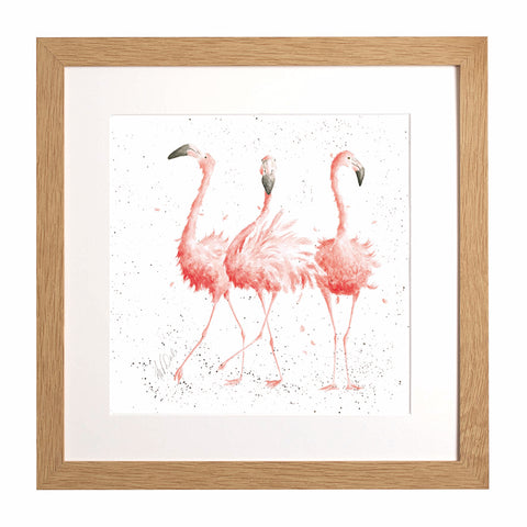 Wrendale - Framed Collectors' Prints - Zoology Collection
