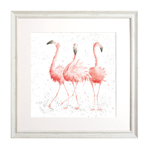 Wrendale - Framed Collectors' Prints - Zoology Collection