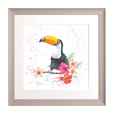 Wrendale - Framed Collectors' Prints - Zoology Collection