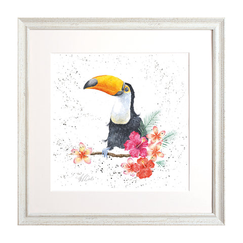 Wrendale - Framed Collectors' Prints - Zoology Collection
