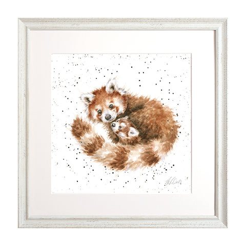 Wrendale - Framed Collectors' Prints - Zoology Collection