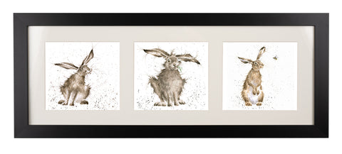 Wrendale  - A Trio of Framed Cards - Hares