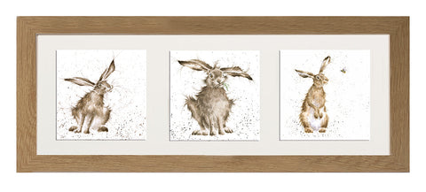 Wrendale  - A Trio of Framed Cards - Hares