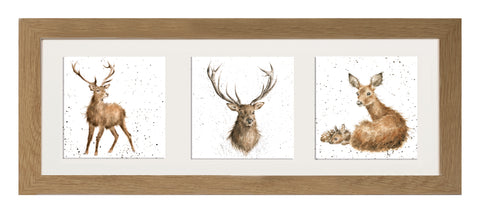 Wrendale  - A Trio of Framed Cards - Deer