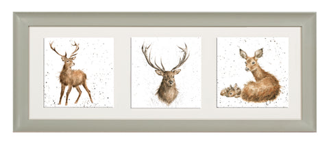 Wrendale  - A Trio of Framed Cards - Deer