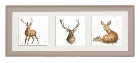 Wrendale  - A Trio of Framed Cards - Deer