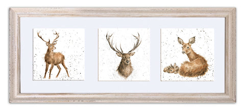 Wrendale  - A Trio of Framed Cards - Deer