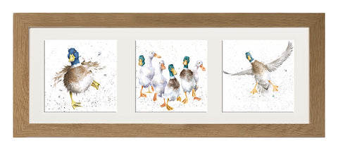 Wrendale  - A Trio of Framed Cards - Ducks