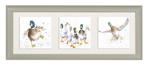 Wrendale  - A Trio of Framed Cards - Ducks