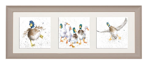 Wrendale  - A Trio of Framed Cards - Ducks