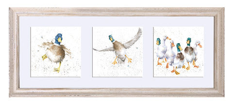 Wrendale  - A Trio of Framed Cards - Ducks