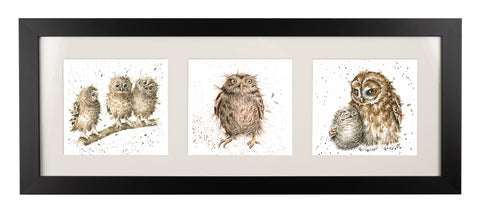 Wrendale  - A Trio of Framed Cards - Owls