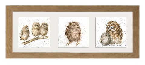 Wrendale  - A Trio of Framed Cards - Owls