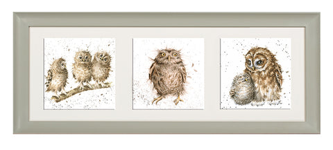 Wrendale  - A Trio of Framed Cards - Owls