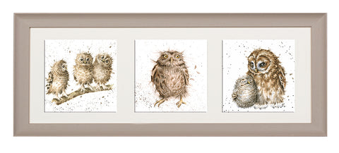 Wrendale  - A Trio of Framed Cards - Owls