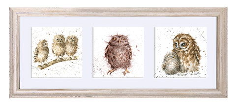 Wrendale  - A Trio of Framed Cards - Owls