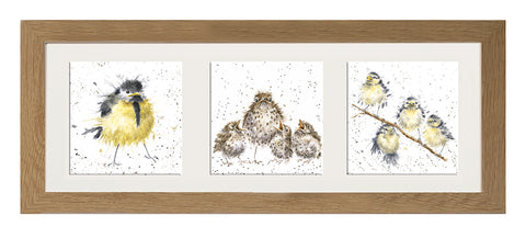 Wrendale  - A Trio of Framed Cards - Fledglings