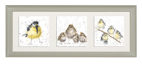 Wrendale  - A Trio of Framed Cards - Fledglings