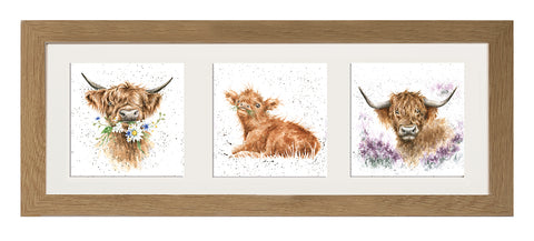Wrendale  - A Trio of Framed Cards - Highland Cows