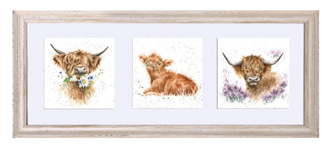 Wrendale  - A Trio of Framed Cards - Highland Cows