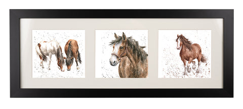 Wrendale  - A Trio of Framed Cards - Horses