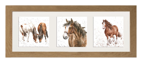 Wrendale  - A Trio of Framed Cards - Horses